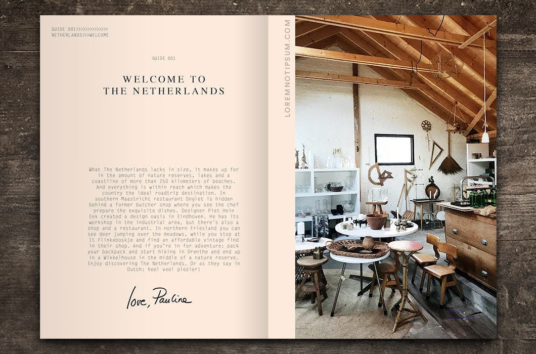 Petit Passport City Guide Netherlands